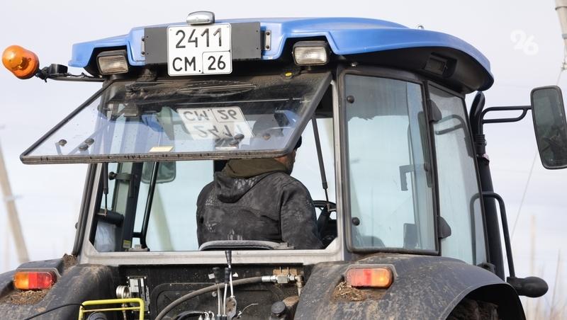 Аграрии Ставрополья получат субсидии на закладку садов