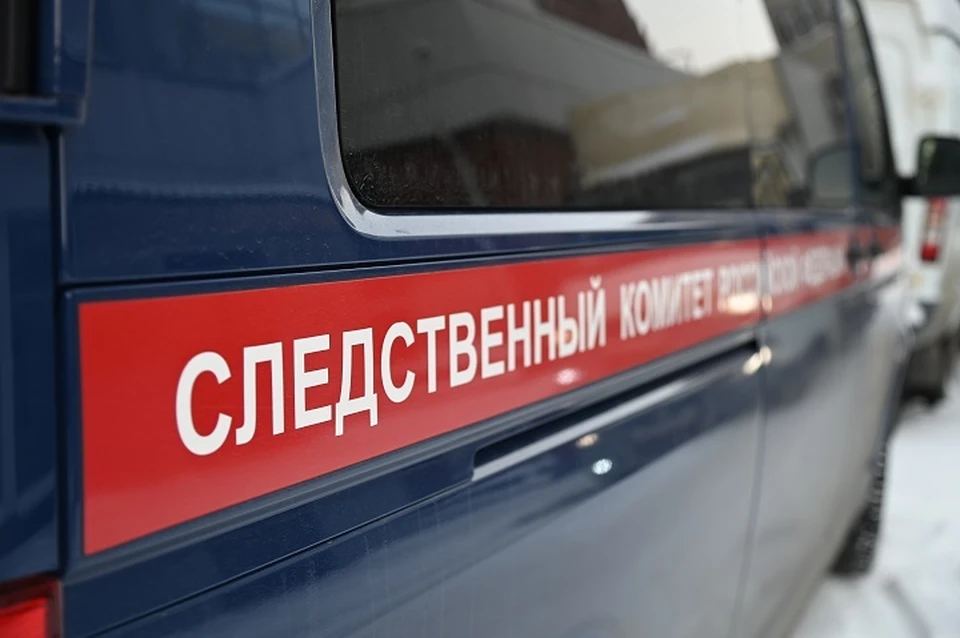 Бастрыкин поручил разобраться в деле о нападении на подростка в Ставрополе0