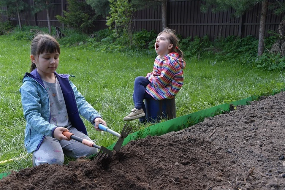 Более 200 земельных участков выдадут в Железноводске многодетным семьям0
