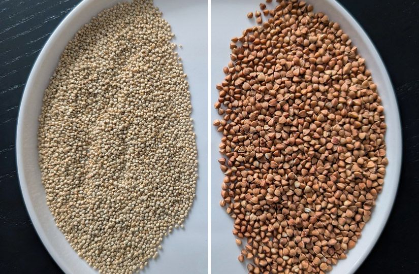 Чем шиповник лучше годжи и почему гречка не хуже киноа2