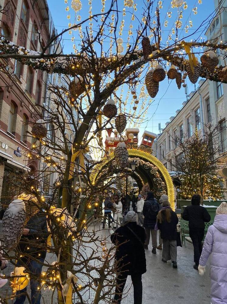 Что жители Ставрополья покупали к Новому году