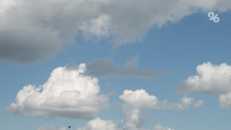 До +12° потеплеет на Ставрополье в конце рабочей недели