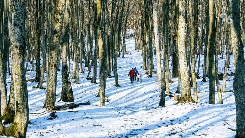 До +3 грудусов потеплеет на Ставрополье в середине недели