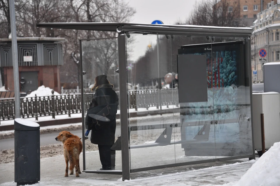 Дополнительный общественный транспорт запустят на Крещение в Кисловодске0