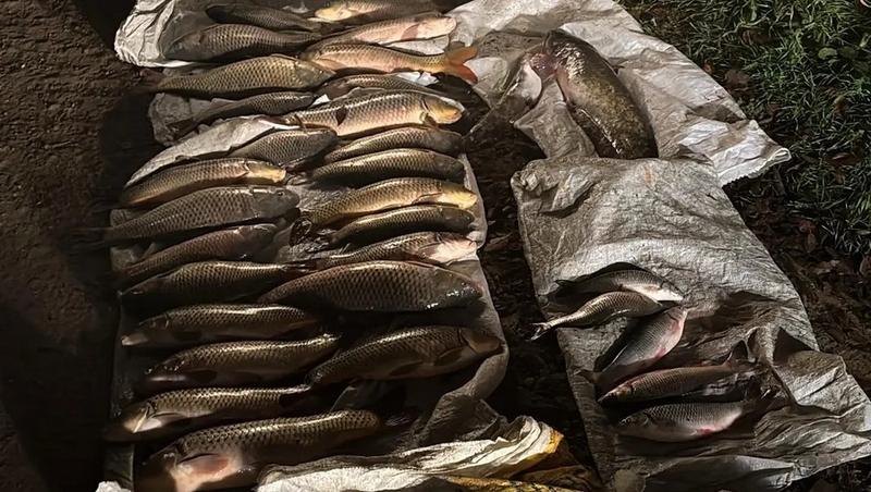 Двух браконьеров поймали в Левокумском округе