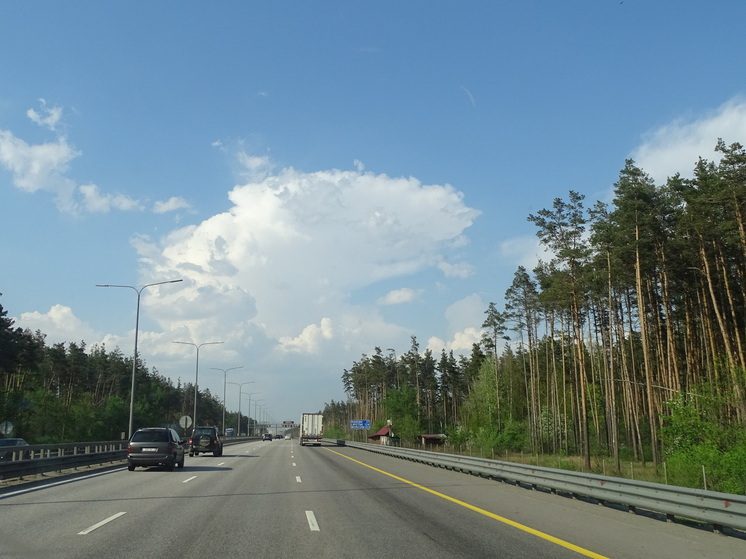 Эксперт рассказала о новых правилах для водителей в России