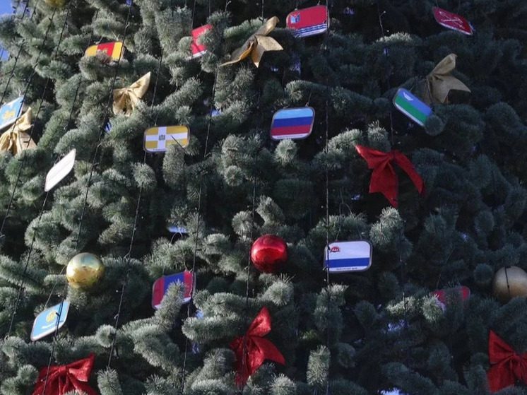 Глава Ингушетии: новогодняя ёлка республики стала символом единства России