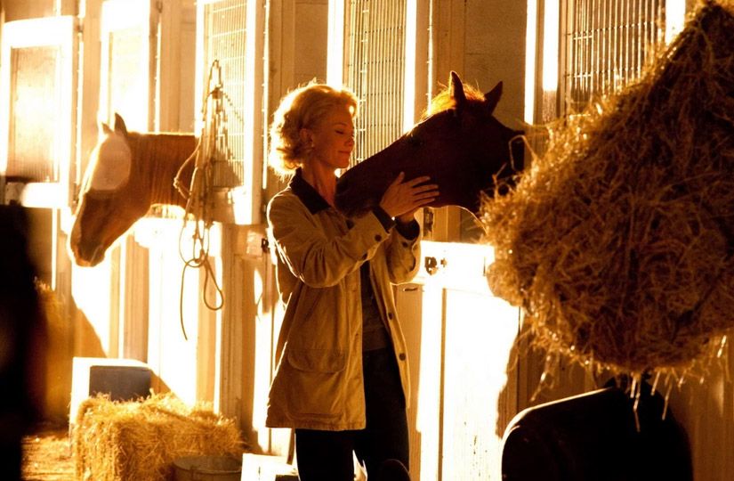 Год Лошади на экране: 10 семейных фильмов о силе, свободе и дружбе0