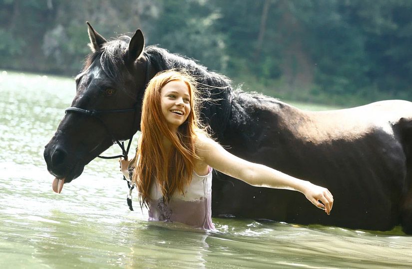 Год Лошади на экране: 10 семейных фильмов о силе, свободе и дружбе9