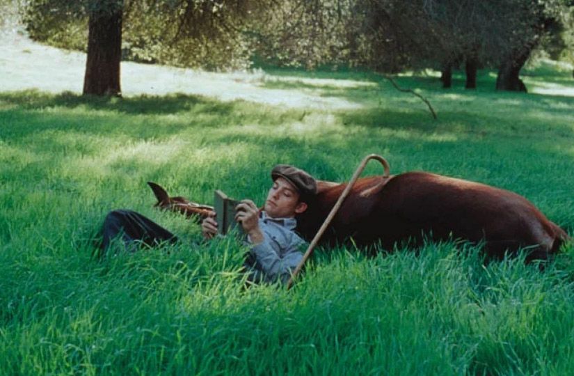 Год Лошади на экране: 10 семейных фильмов о силе, свободе и дружбе1