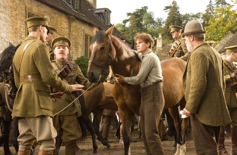 Год Лошади на экране: 10 семейных фильмов о силе, свободе и дружбе4