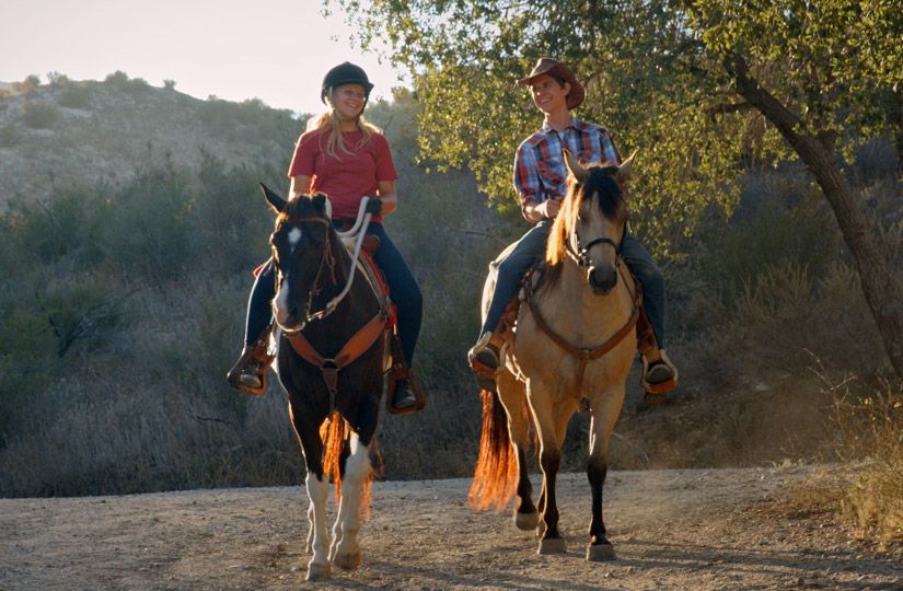 Год Лошади на экране: 10 семейных фильмов о силе, свободе и дружбе8