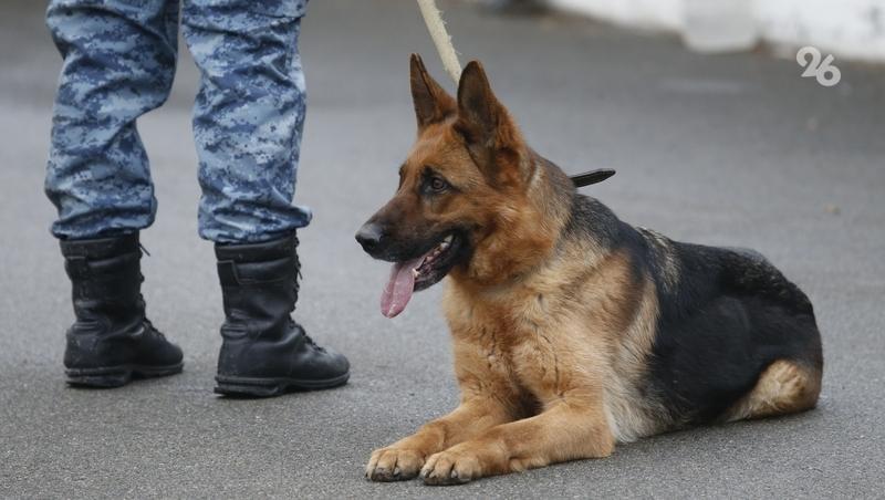 Информация о минировании института поступила в Железноводске