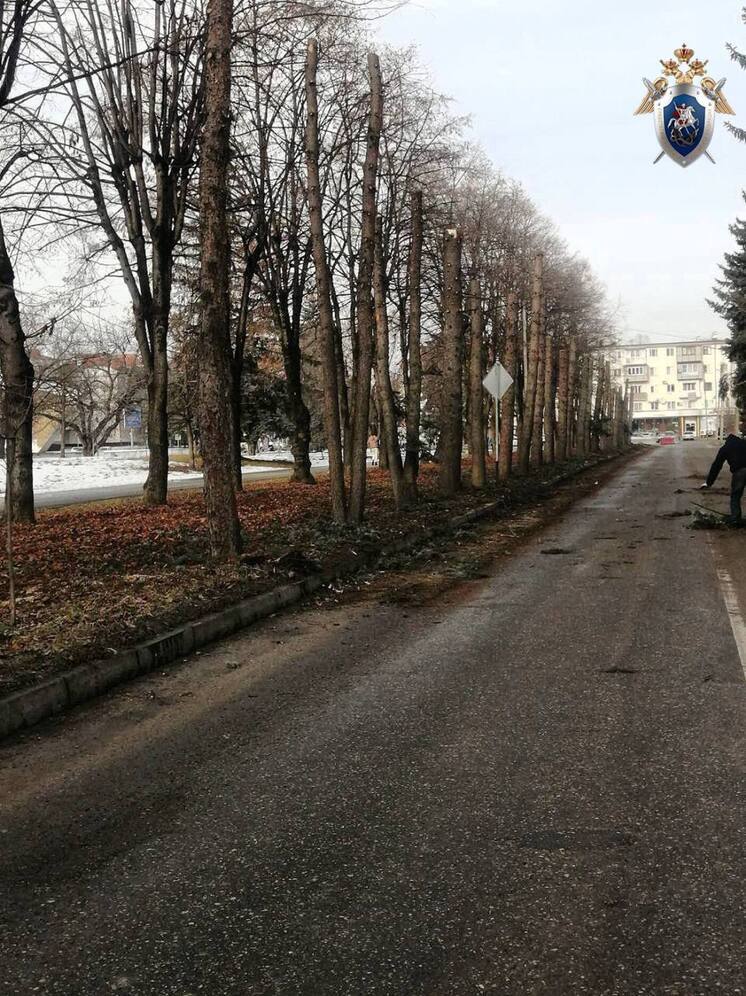 Из-за скандальной вырубки деревьев в Нальчике возбудили уголовное дело