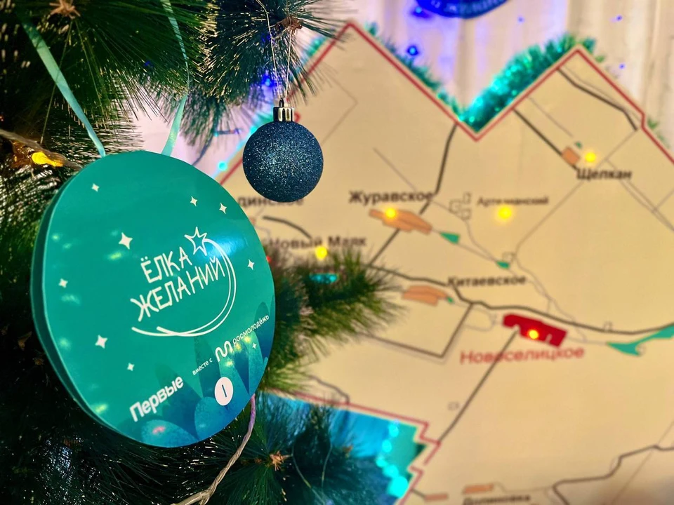 «Ёлка желаний» стартовала в Новоселицком округе Ставрополья0