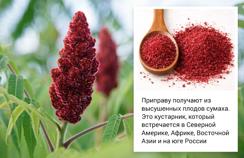 Как сумах заменил лимон, уксус и усилители вкуса0