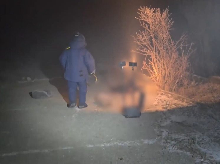 Ликвидирован кисловодчанин, готовивший теракты против военнослужащих