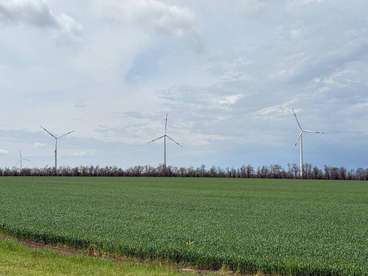 Молодые учёные из Ставрополя научат нейросети делать прогноз урожайности