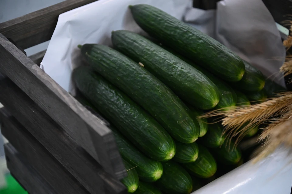 На 27% подорожали свежие огурцы за неделю на Ставрополье0