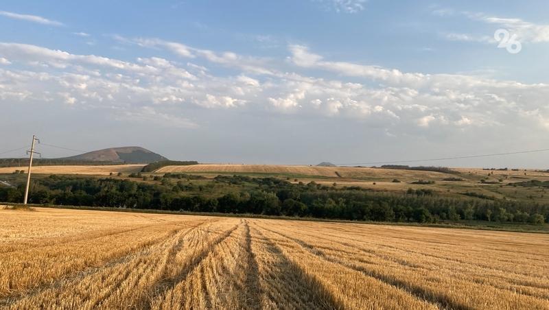 На Ставрополье благодаря господдержке застраховали свыше 30% сельхозугодий