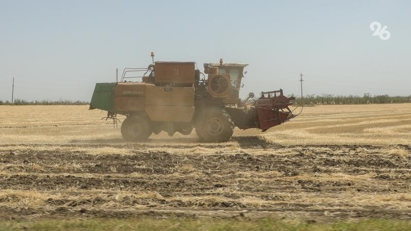 На Ставрополье благодаря господдержке застраховали свыше 30% сельхозугодий