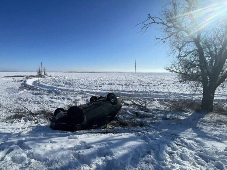На Ставрополье легковушка врезалась в дерево и перевернулась