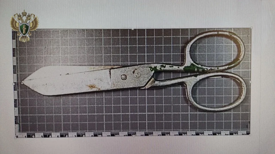 На Ставрополье мужчина убил знакомого ножницами во время застолья0