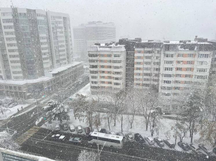 На Ставрополье по программам «Земский доктор» и фельдшер» трудоустроили 90 специалистов