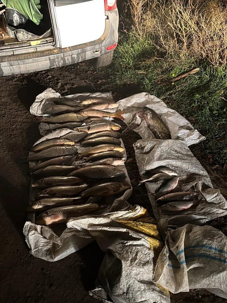 На Ставрополье поймали браконьеров