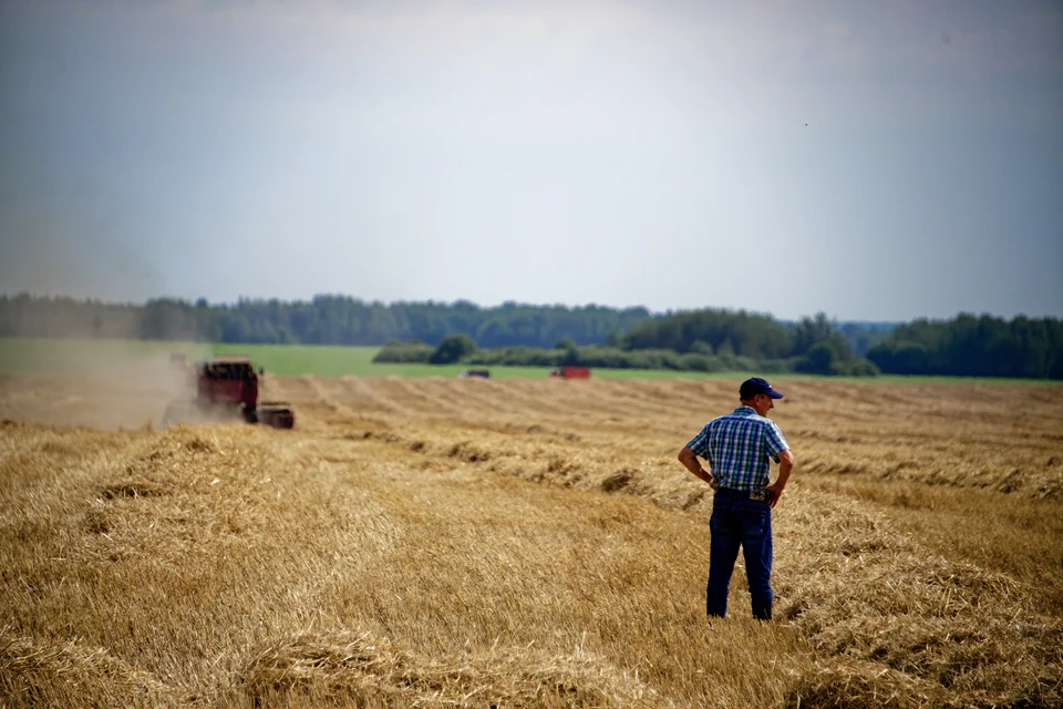 На Ставрополье продолжат активную поддержку сельхозпроизводителей0