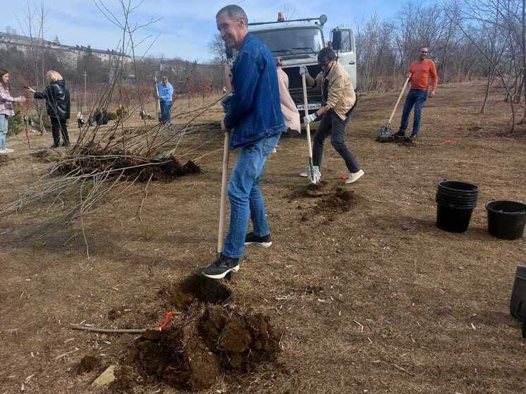 На Ставрополье в 2025 году высадили свыше 100 тысяч новых деревьев