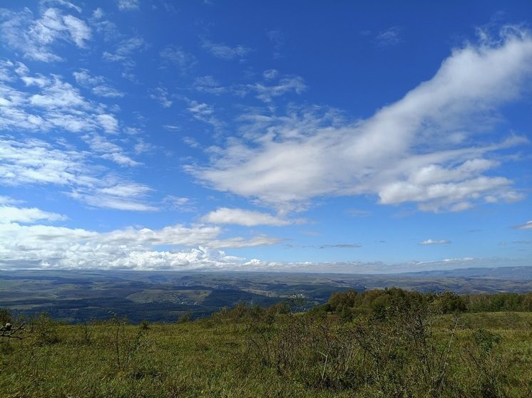 На Ставрополье во время новогодних каникул на землях лесного фонда зафиксировано одно нарушение