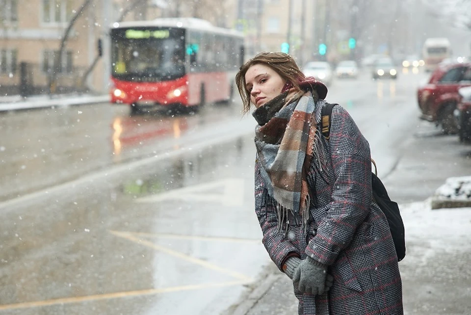 Обновленные маршруты № 5 и 12 могут вскоре вернуться на улицы Ставрополя0