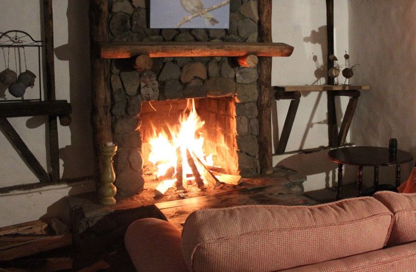 Одиннадцать причин не выбрасывать кожуру от мандаринов и других цитрусов4