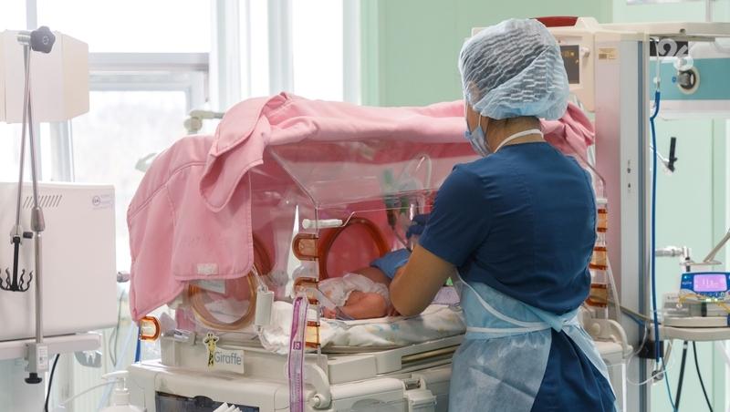 Перинатальный центр в Ставрополе провёл 879 ЭКО за 2025 год