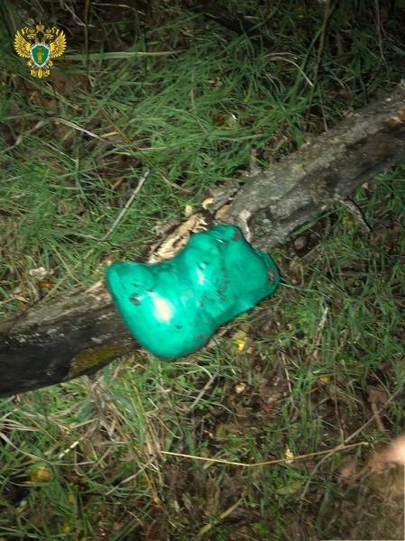 Пожизненное заключение грозит закладчикам за сбыт наркотиков на Ставрополье