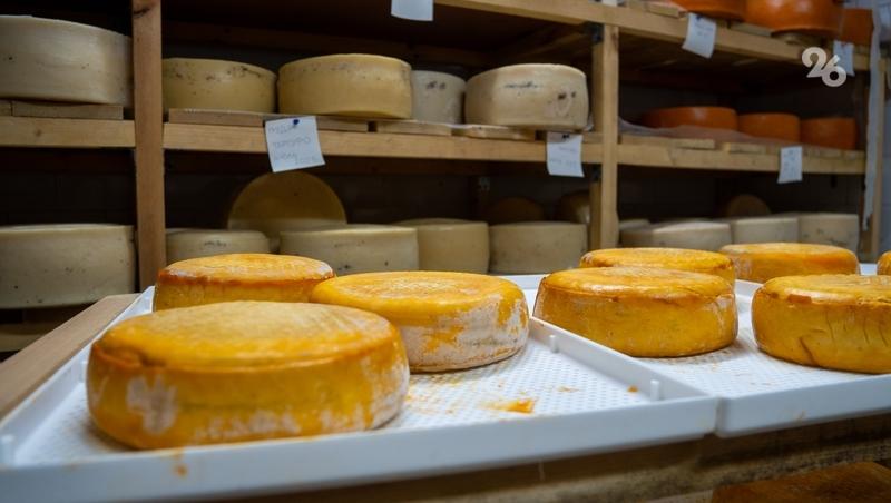 Предпринимателям на Ставрополье выдали 772 млн руб. льготных займов в 2025 году