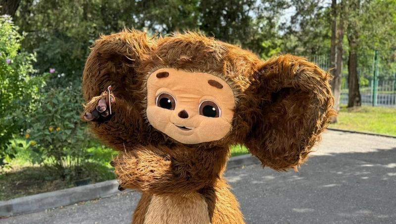 Производитель носков с Чебурашкой в Осетии проиграла тяжбу с «Союзмультфильмом»