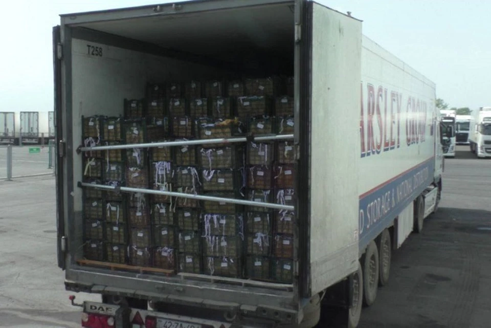 Россельхознадзор выявил в Дагестане более 220 тонн импортной зараженной продукции0