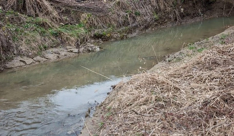 С администрации Ставрополя требуют 70 млн рублей за ущерб реке Мамайка0