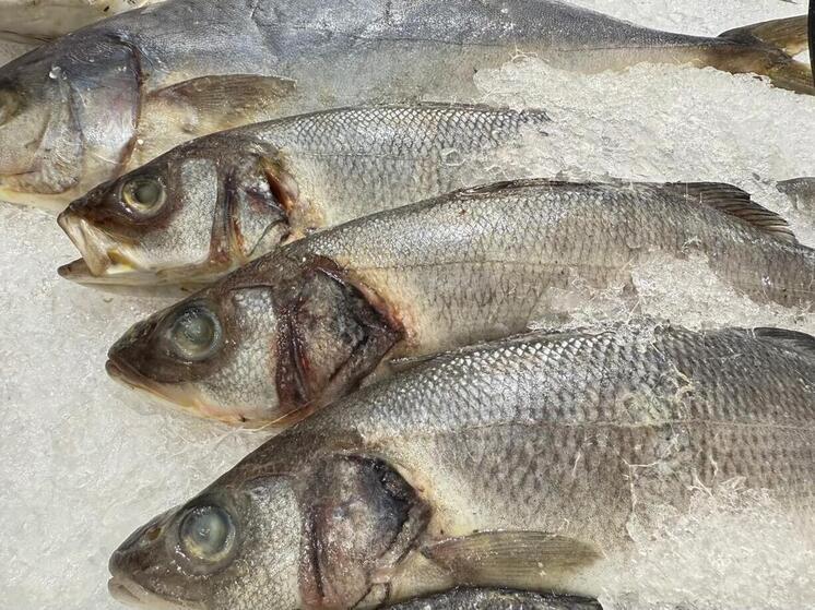 Северная Осетия закрепилась в лидерах СКФО по производству товарной рыбы