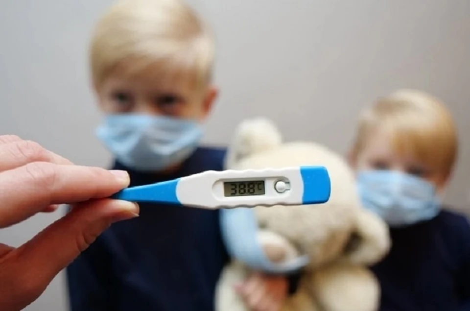 Школа и два детских сада закрыты на карантин в Северной Осетии из-за ОРВИ0