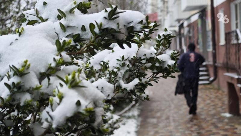 Сильный снег и изморозь ожидаются на Ставрополье 26 января