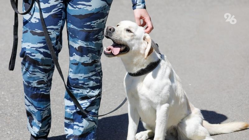 Сообщения о минировании образовательных учреждений поступили в Северной Осетии