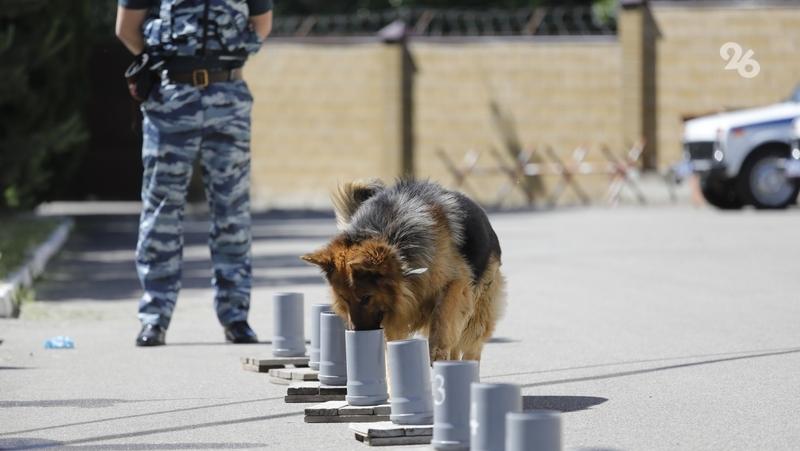Спецслужбы обезвреживают обломки БПЛА в Невинномысске