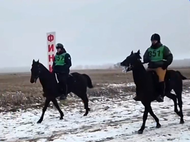 Спортсмены из КБР заняли почти весь пьедестал соревнований по конным пробегам