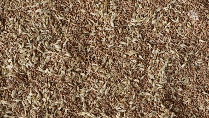 Ставрополье перевыполнило план по экспорту АПК на 3% в 2025 году