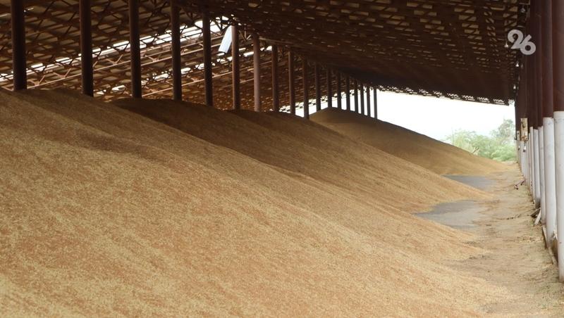 Ставрополье перевыполнило план по экспорту АПК на 3% в 2025 году