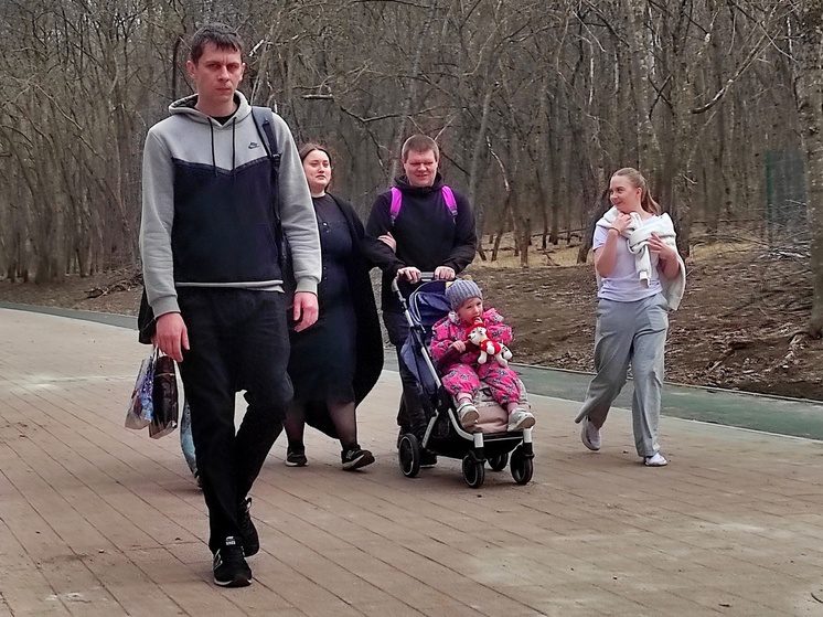 Ставрополье планирует увеличить число многодетных семей на 15% к 2030 году