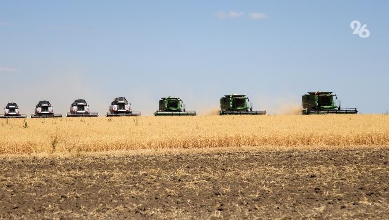 Ставропольские аграрии в 2025 году получили более 1 тыс. льготных кредитов